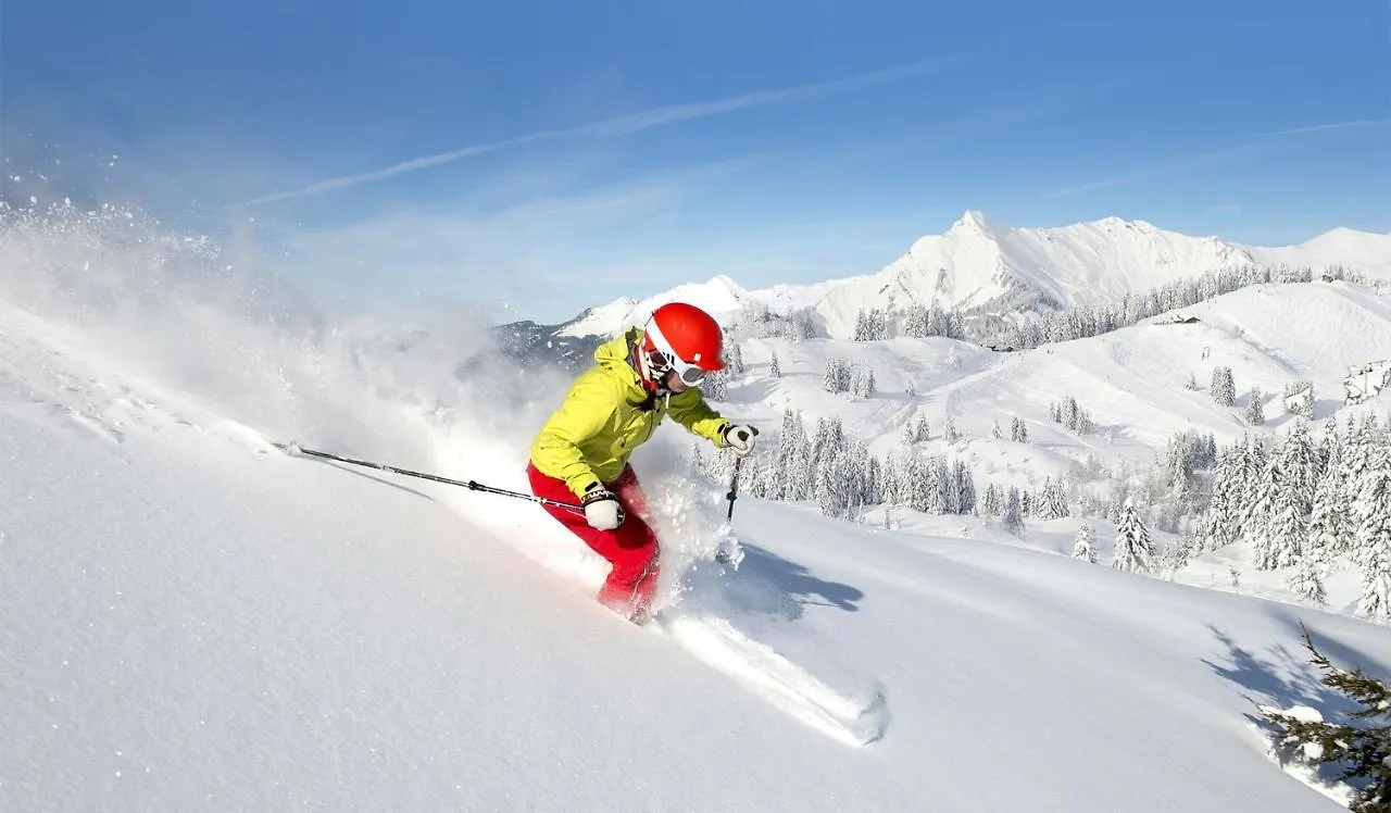 Chalet Bluebell Les Gets 3*,  France